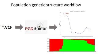 A step by step tutorial to detect population structure using STRUCTURE software.