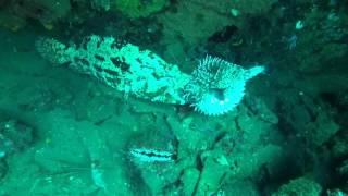 Kerry Daly Scuba Production- Tulamben USS Liberty Wreck with Bali Scuba