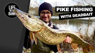 PIKE FISHING WITH DEADBAIT