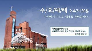 2025.01.15 | 롬 2:17-29 | 유대인의 신앙 실패 | 김성원 목사 | 광주중흥교회 수요예배