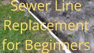 Sewer Line Replacement For Beginners