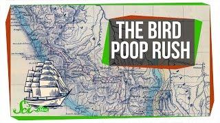 The World's Bird Poop Obsession