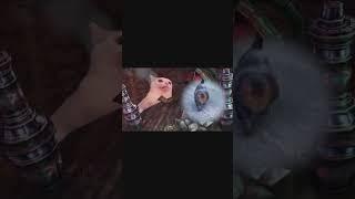 Kitty and hookah #shorts #shortvideo #shortvideo #subscribers