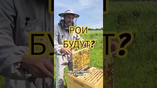 УДЕРЖАТЬ ПЧЁЛ В РАБОЧЕМ СОСТОЯНИИ