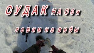 СУДАК НА РАТТЛИНЫ. Зимняя рыбалка со льда