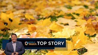 Top Story | Fall Foliage Prediction