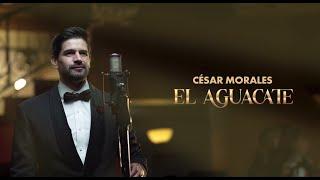 El Aguacate - Cesar Morales - Concierto Acústico