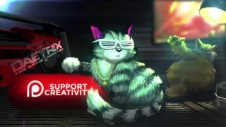 DAETRIX Funny Cat Videos