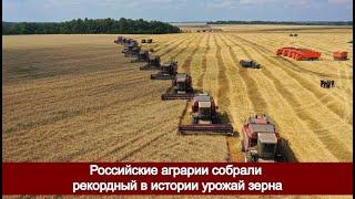 Российские аграрии собрали рекордный в истории урожай зерна