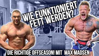 Wie funktioniert Fett werden? | Die richtige Offseason! Mit @MaxMadsen 2022