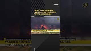 Пожар в Лос-Анжелесе: идет массовая эвакуация, горят виллы богачей #shorts #shortvideo #shortsfeed