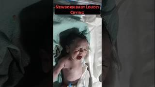 Newborn baby loudly Crying #newborn #baby #crying #loudly @littlebabyvideo1