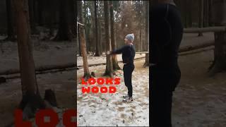 #wood #november #yutubeshorts #autumn #motivation #Perm Russia 