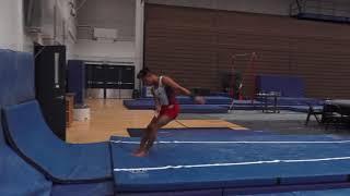 Yul Moldauer - Vault - 2018 World Team Selection Camp - Day 1