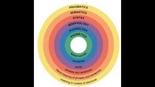 Sub-fields of linguistics|Basic information|HunniaArooj