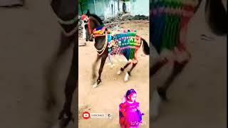 chunni mein chunni mein ghodi dance #viral #trending #shorts #video