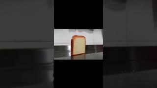 BREAD  #funny #bread #memes #comedy #youtubeshorts #youtube #shorts