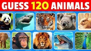 Guess The Name 120 Animals | Easy, Medium, Hard, Impossible |Quizzer Odin