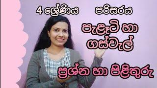 පැළෑටි හා ගස්වැල් 4 ශ්‍රේණිය පරිසරය | palati ha gaswal | for teachers