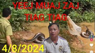 Txooj hlau teb cov lus cem kom kom nphle qau 4/8/2024