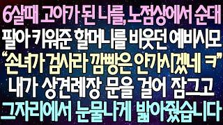 (반전 사연) 6살때 고아가 된 나를, 노점상에서 순대팔아 키워준 할머니를 비웃던 예비시모 내가 상견례장 문을 걸어 잠그고 그자리에서 눈물나게 밟아줬습니다 /사이다사연/라디오드라마