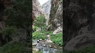 Сайрам-Өгем ұлттық паркі
