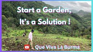 Start a Garden, It's a solution !