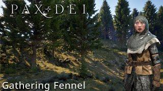 Pax Dei Part 11: Collecting Fennel for Tea - A Herbal Adventure!