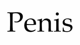 How to Pronounce Penis