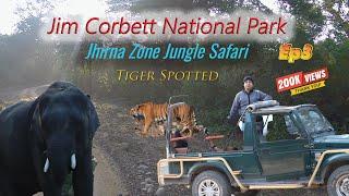 Tiger spotted in Jhirna Zone Jungle Safari, Jim Corbett National Park | Wildlife Safari | Ep3