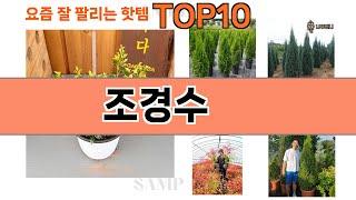 가장 많이 팔린 조경수 추천 Top10!