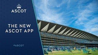 The new Ascot Racecourse App