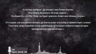 Поистине, люди подобны сотне верблюдов? Давуд Аш-Шинкыти