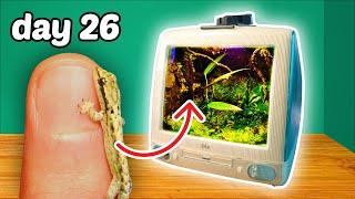 I Made a Terrarium for a Baby Gecko in an iMac