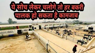 ये सोच लेकर बकरी पालन मे हर किसान हो सकता है कामजाब| Goat Farming | @Srgoatfarm650