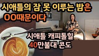 시애틀 벨뷰 부동산 전문 리얼터 성혜연 - 시애틀 캐피톨힐 편