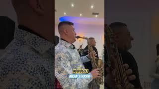 NOVI BECEJ / MILAN STRASNI #music #uzivo #live #saxophone #milanstrasni #talent #muzika #duet #funny