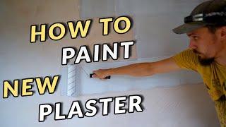 How To Paint New Plaster - From Mist Coat To Cutting In - Learn To Paint Walls and Ceilings Tutorial