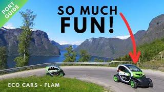 Flam Shore excursion: eMobility Flam Twizzy Eco Cars - everything you need to know