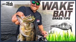 Wake Bait Bass Fishing Tips with John Cox