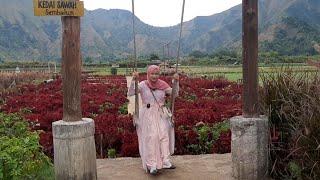 Kedai Sawah Sembalun Lombok Nusa Tenggara Barat