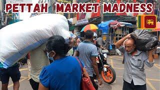 COLOMBO SRI LANKA Travel Vlog & Prices | Pettah Market is Insane