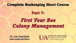 Part 7: First Year Bee Colony Management