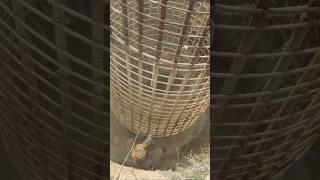 Master construction solution 99 #viralvideo #youtubeshorts #construction