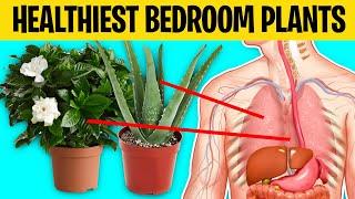 7 Healthiest Plants You Should Keep In Your Bedroom For a Healthy Lifestyle