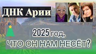 ПРОГНОЗ НА 2025 ГОД ОТ ДНК АРИИ / ЧТО ГОД ГРЯДУЩИЙ НАМ НЕСЁТ? #славяне #славянеарии #мистика