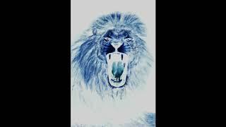 Judge S - Lion's Roar (prod. Ali Serhan)