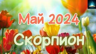 Скорпион. Май 2024 Таро Прогноз