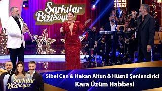 Sibel Can & Hakan Altun & Hüsnü Şenlendirici - Kara Üzüm Habbesi