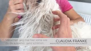 Claudia Franke - Malteser verfilzt vorher nachher